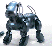 ERS-7M2 image